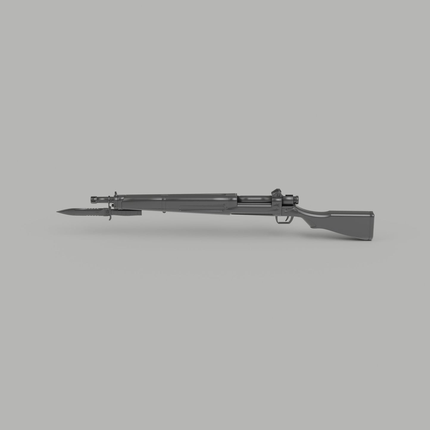 Constitution Rifle NMT's Workshop