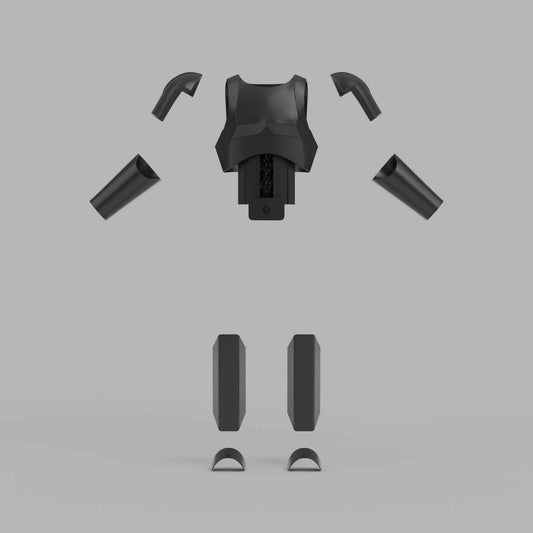 Royal Guard Armor V2 packshot