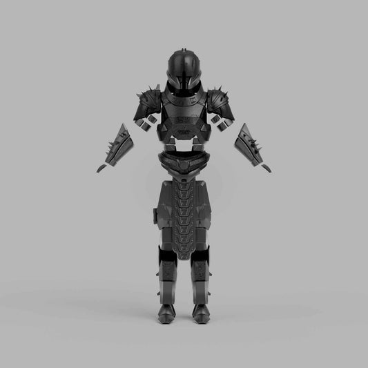 Saint 14 armor with crested helmet — Destiny 3D print by NMT's Workshop